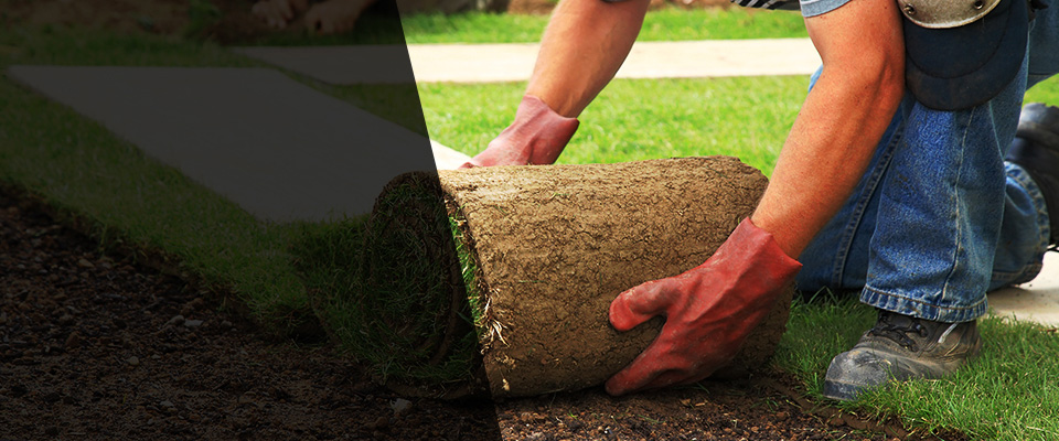 South Charleston Landscapers